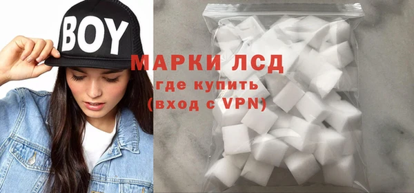 прущие грибы Куйбышев