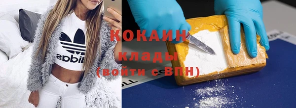 прущие грибы Куйбышев