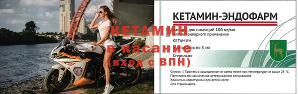 прущие грибы Куйбышев