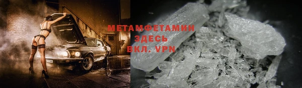 прущие грибы Куйбышев