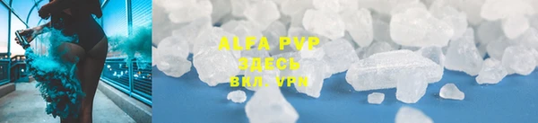 прущие грибы Куйбышев