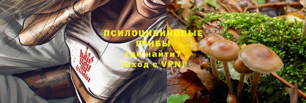 кокс Кукмор