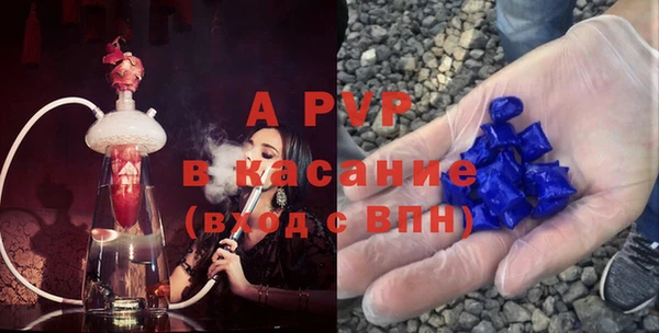 прущие грибы Куйбышев