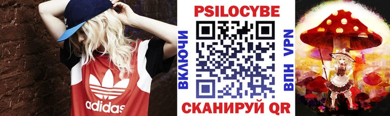 Галлюциногенные грибы мицелий  закладка  Оха 